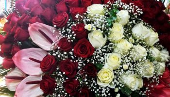 گل فروشی هروی
