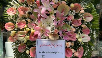 آیریس