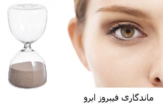 ماندگاری و فید