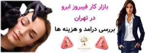 بازار کار فیبروز ابرو در تهران ; بررسی درامد و هزینه ها