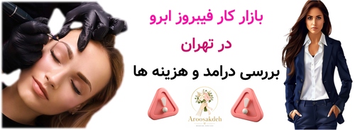 بازار کار فیبروز ابرو در تهران ; بررسی درامد و هزینه ها