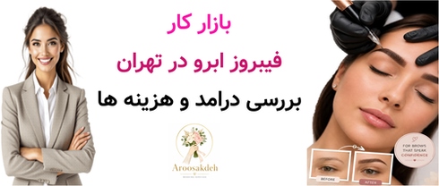 بازار کار فیبروز ابرو در تهران ; بررسی درامد و هزینه ها
